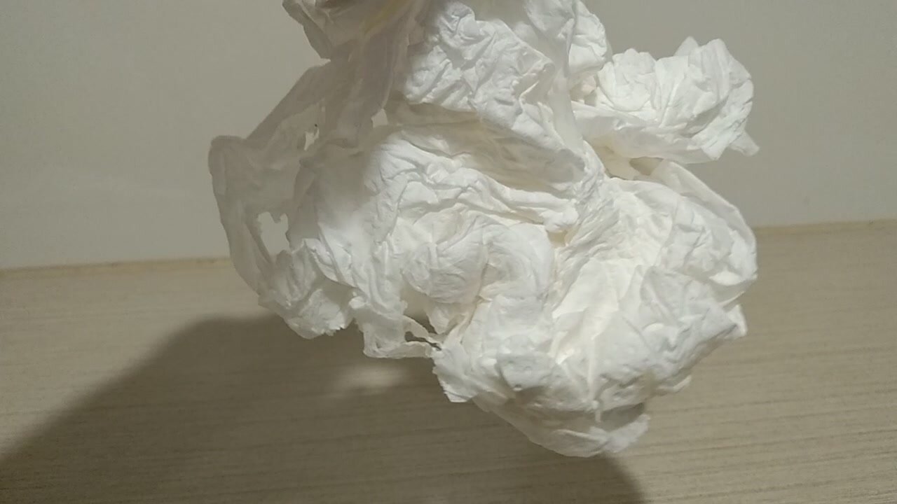 TISSUE OF A WOMAN'S PEE PEE