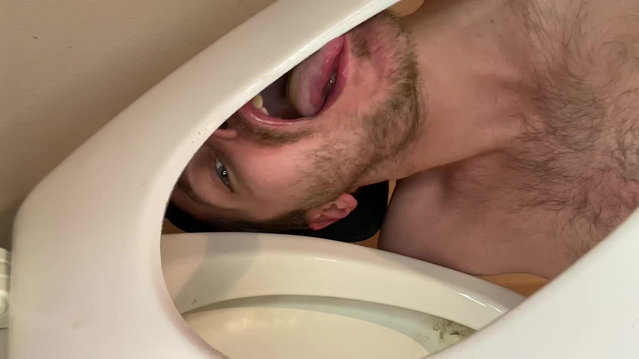 Toilet licking faggot licks under the seat
