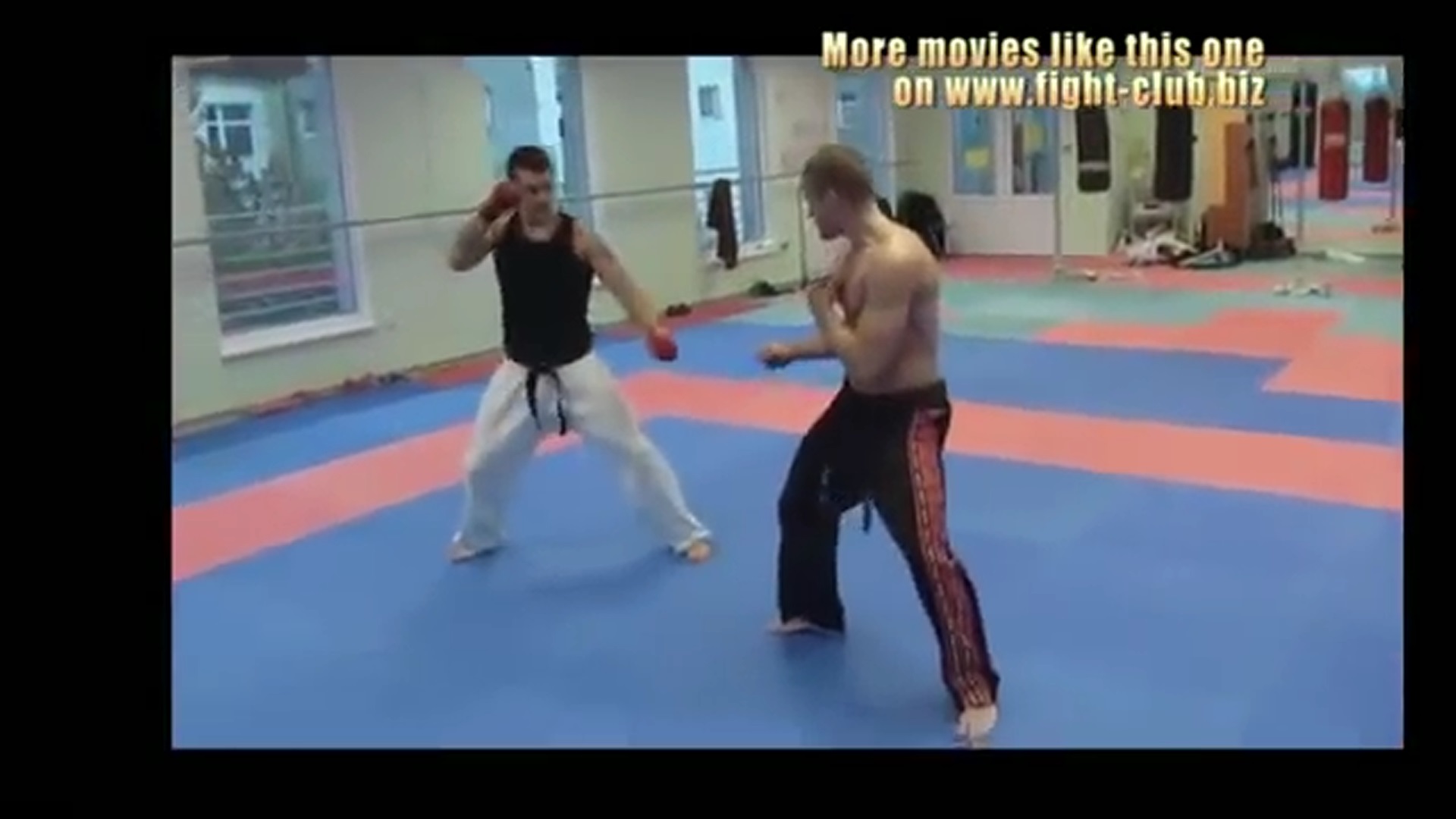 karate vs taekwondo