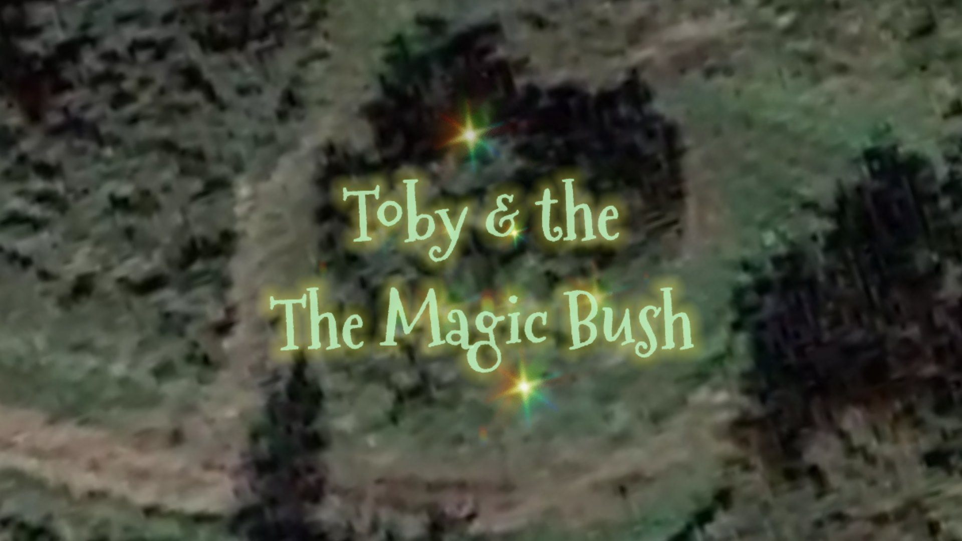 Toby & The Magic Bush