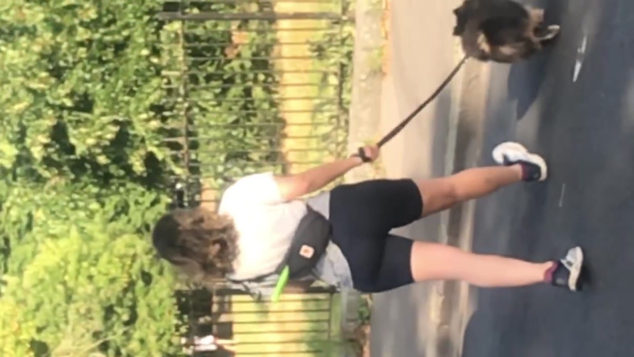 Sexy brunette milf walking the dog in hotpants
