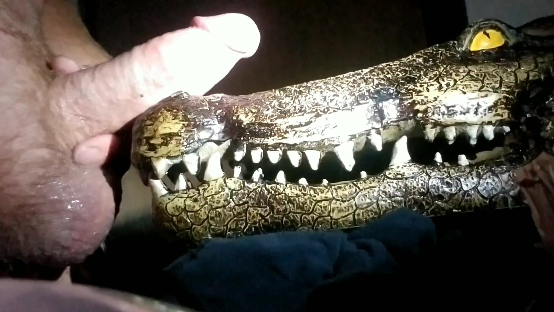 Crocodile Cumshot