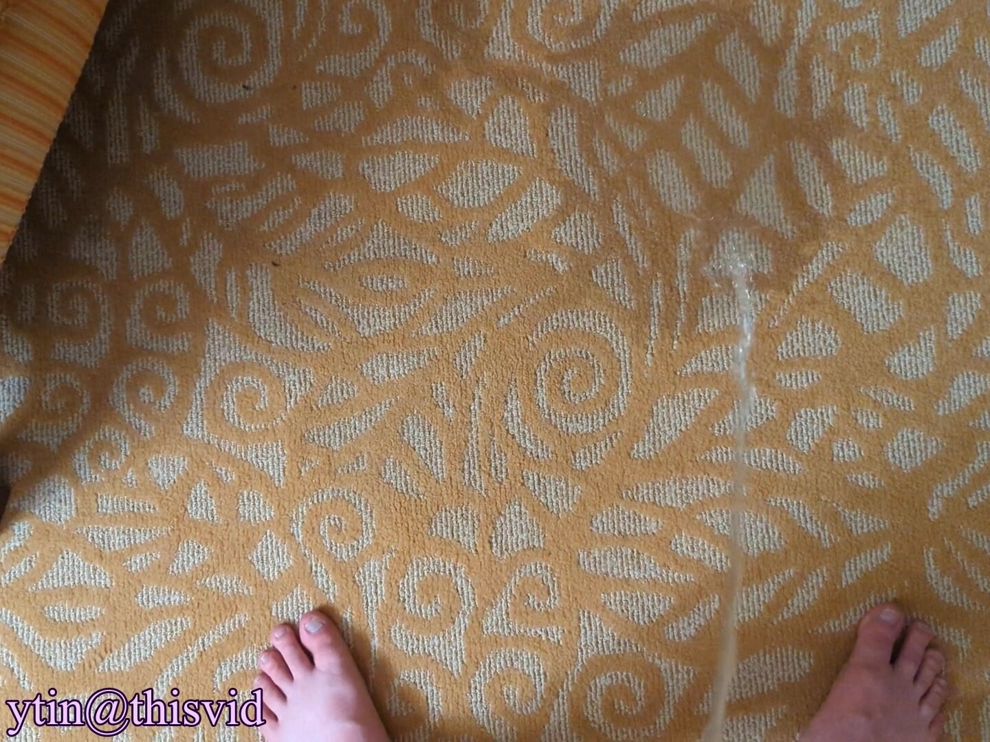 Hotel Big Puddle on Carpet