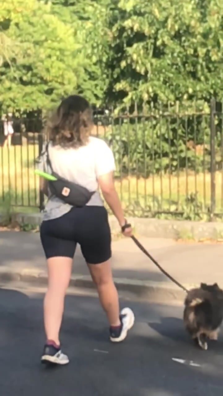 Fit brunette in hotpants walking the dog