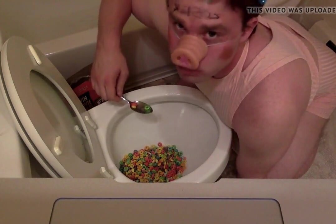 Toilet Cereal Loser Piggy