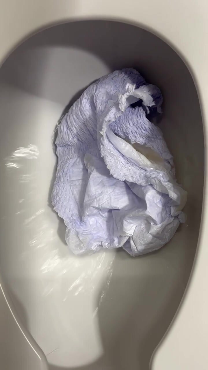 Adult diaper fights flusher