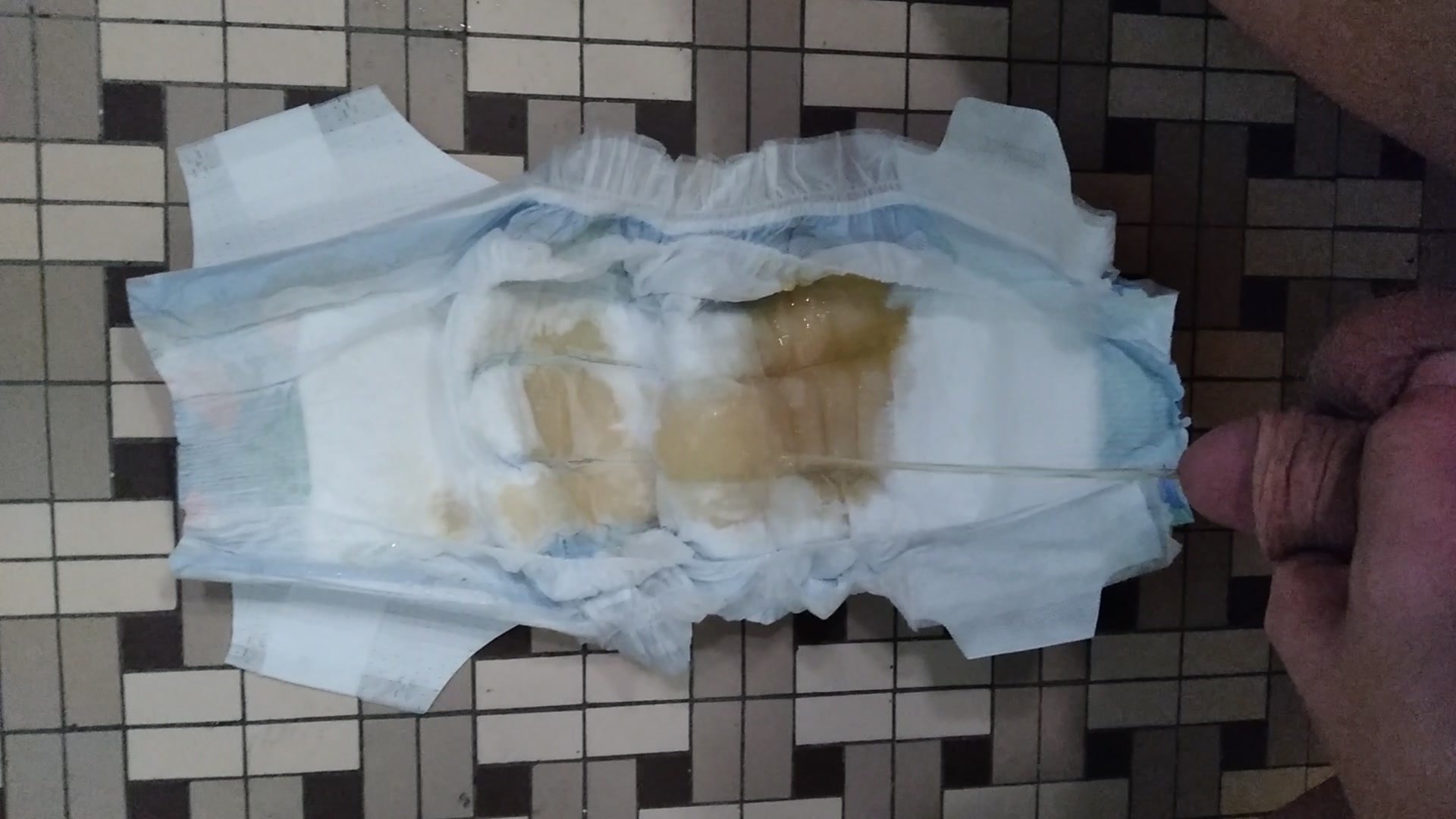 Open Pee In An Honest Size 6 Diaper (Tropical Print)