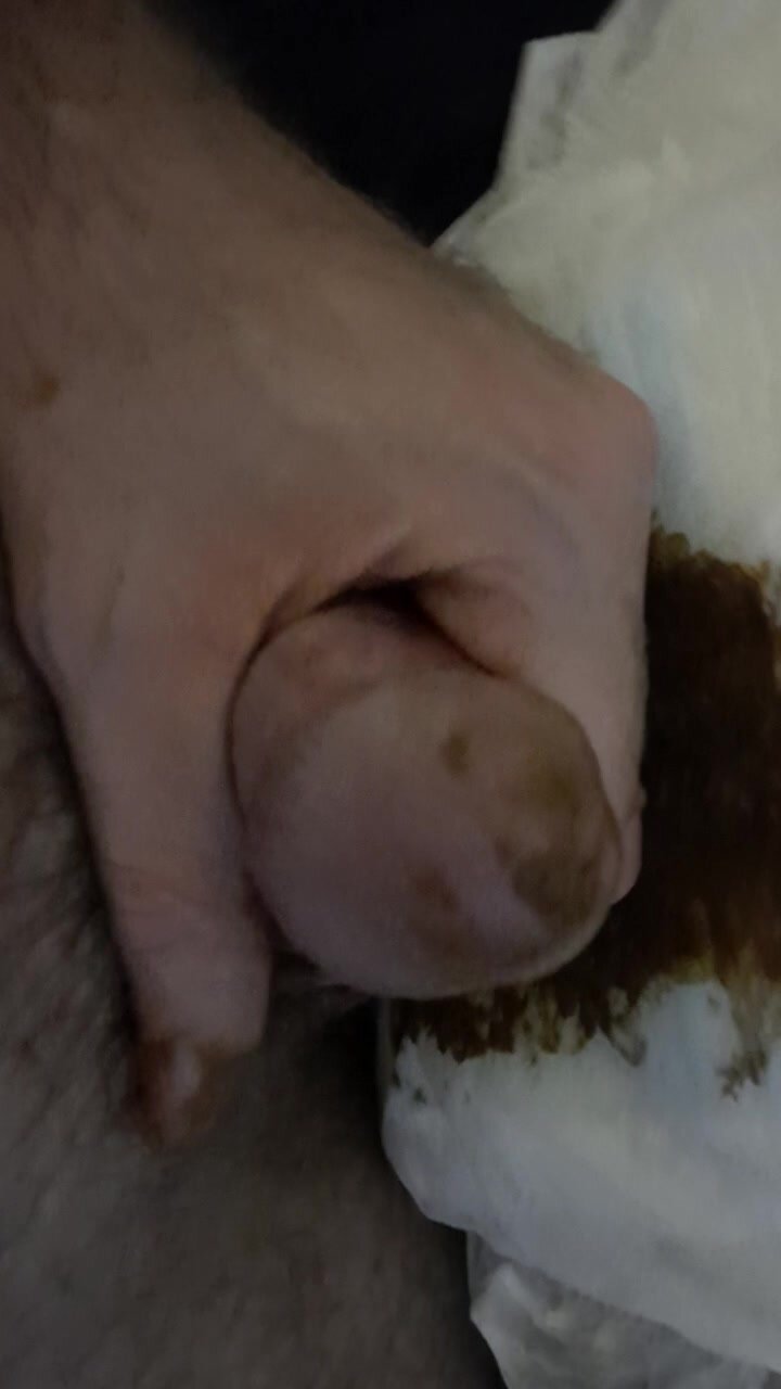 Pup cumming from his mess