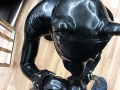 Rubber pup training day 13min full version