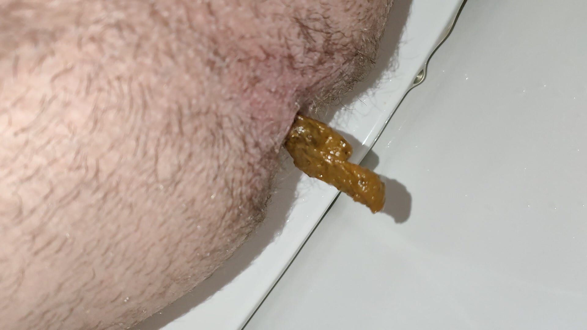 Hairy ass taking a soft shit
