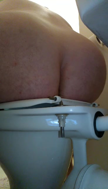 Desperate shit on the toilet