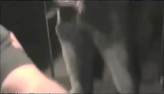all am understall gloryhole and in public cumshots - video 2