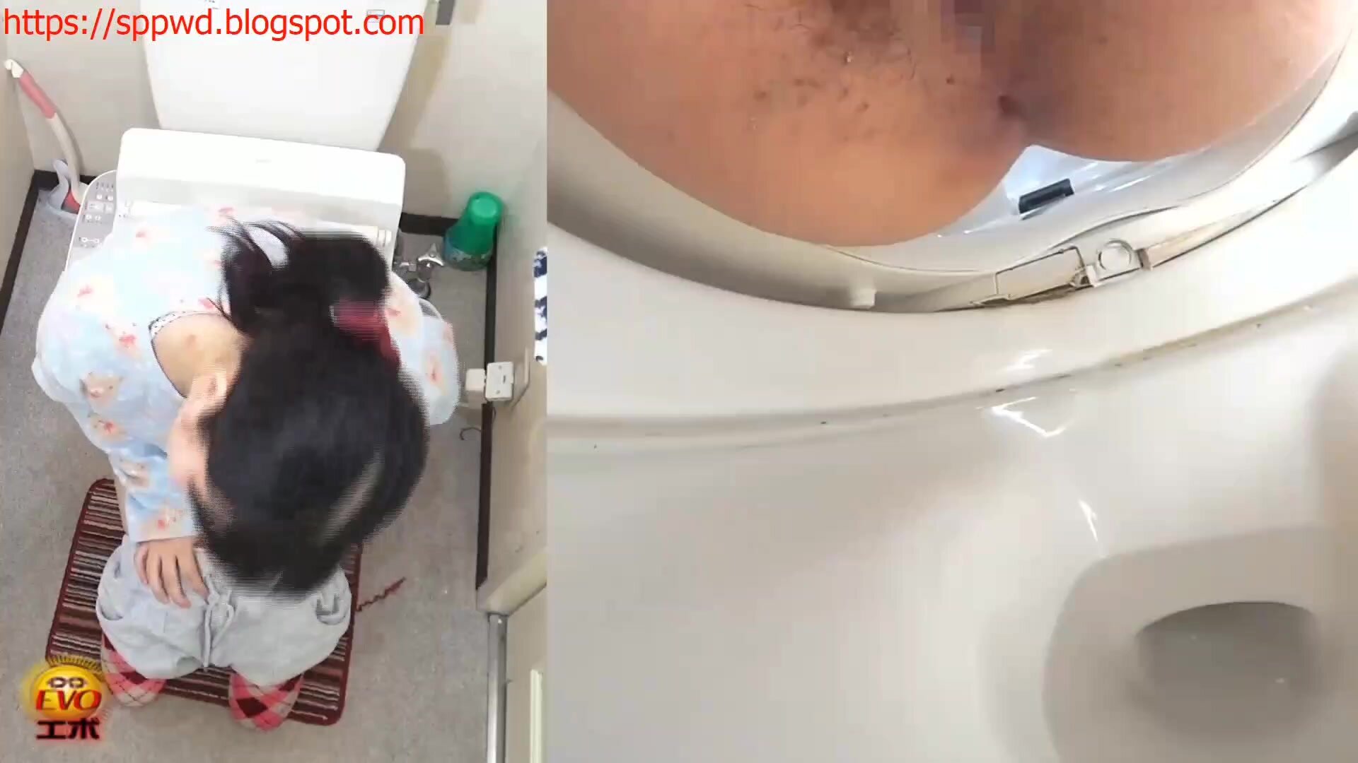 toilet poo - video 2