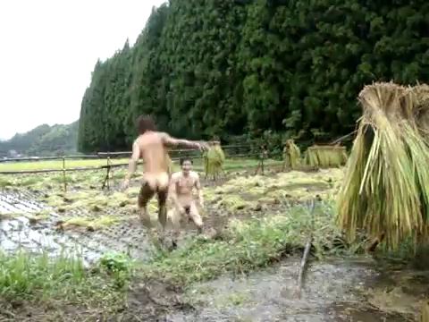 rice field fun