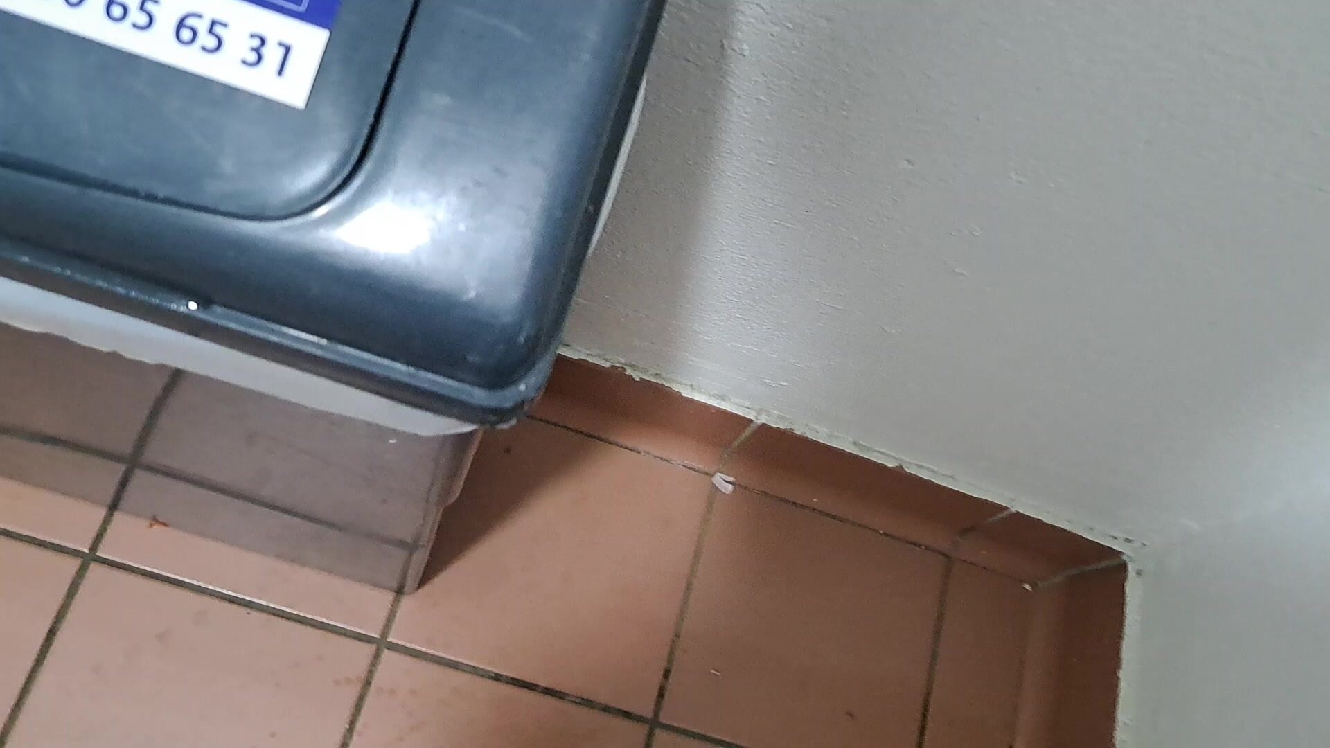 FTM Shitting under public bathroom Bin