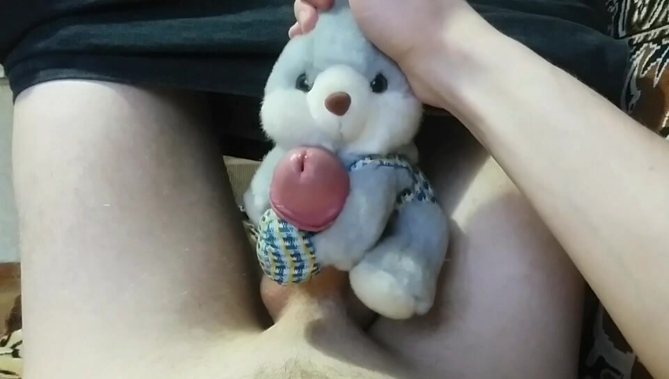 cute little bunny