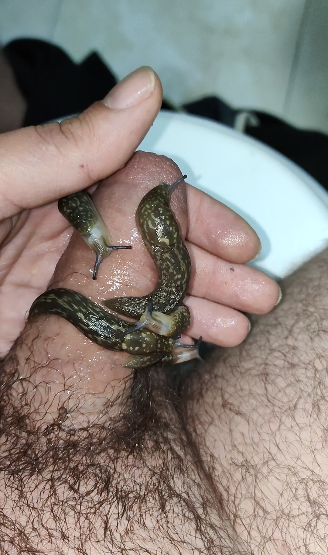 All slugs on my cock and cum