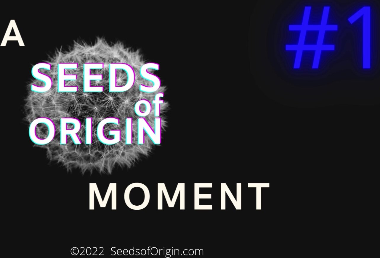 a Seeds of Origin Moment - #1