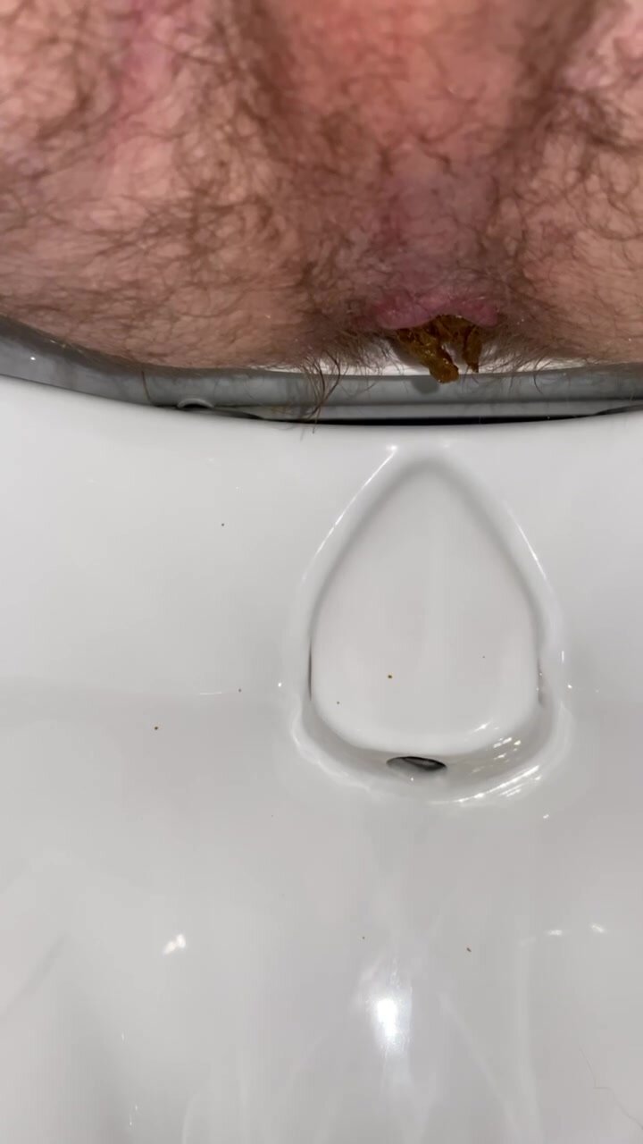 Public toilet poo 6