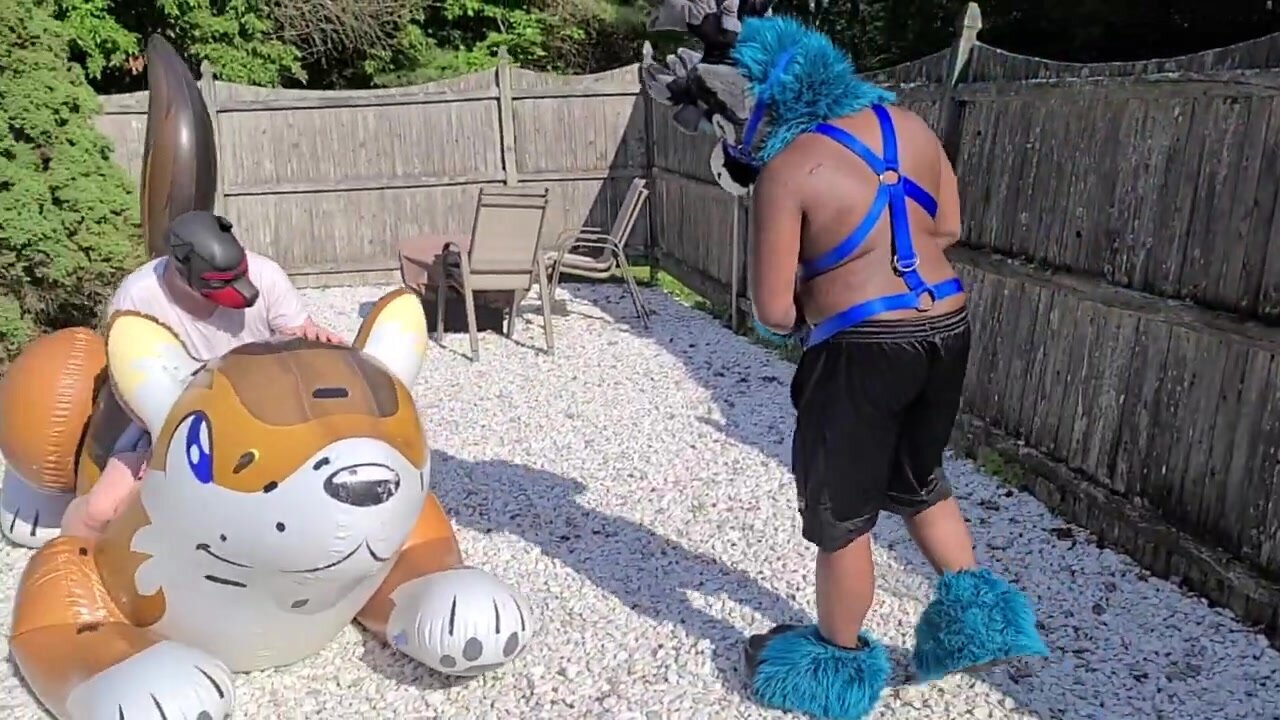 Puppys Blow up wolf gets popped
