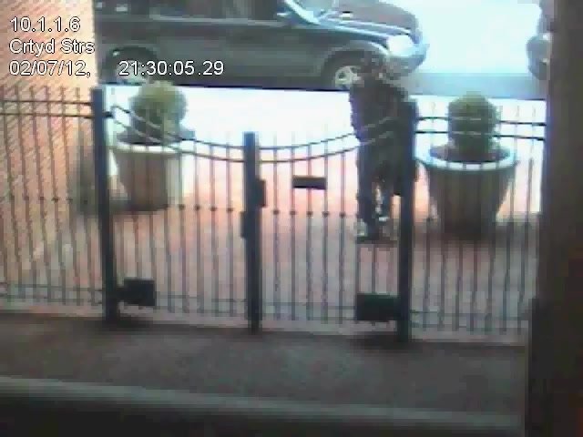 CCTV CAUGHT POOPING OUTDOOR