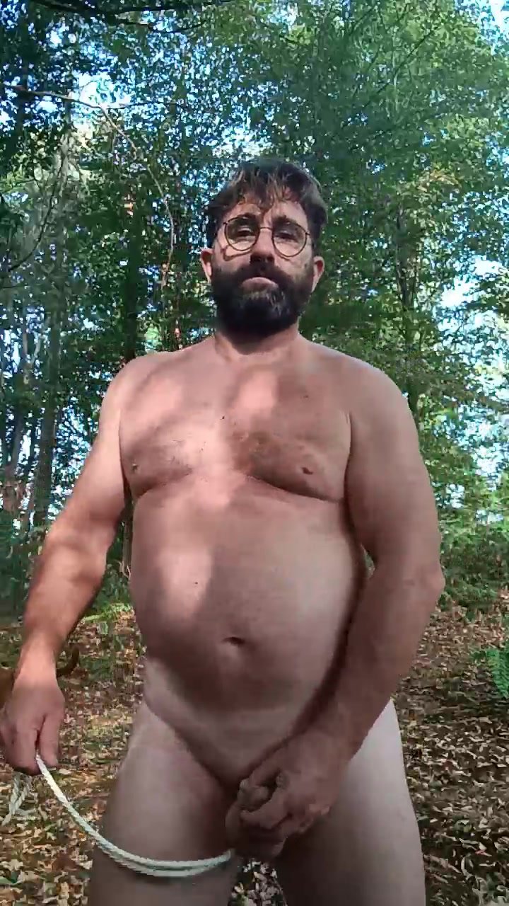 bear in the woods