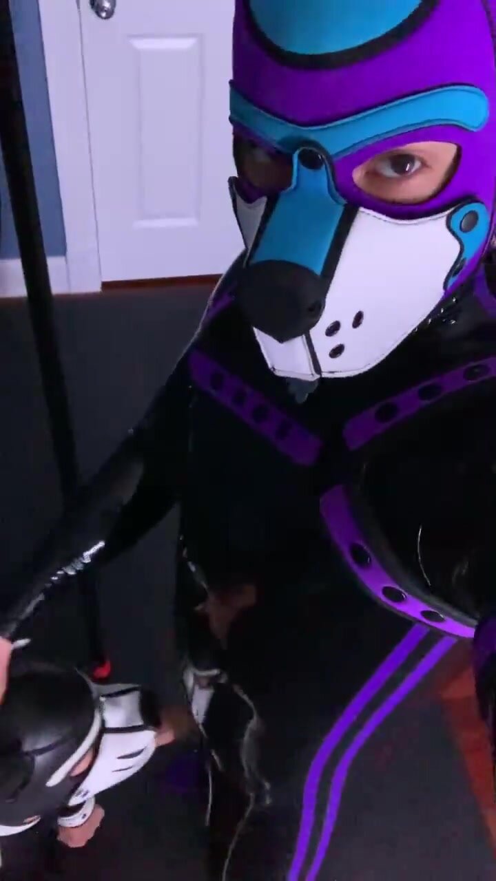 Quick puppy blowjob