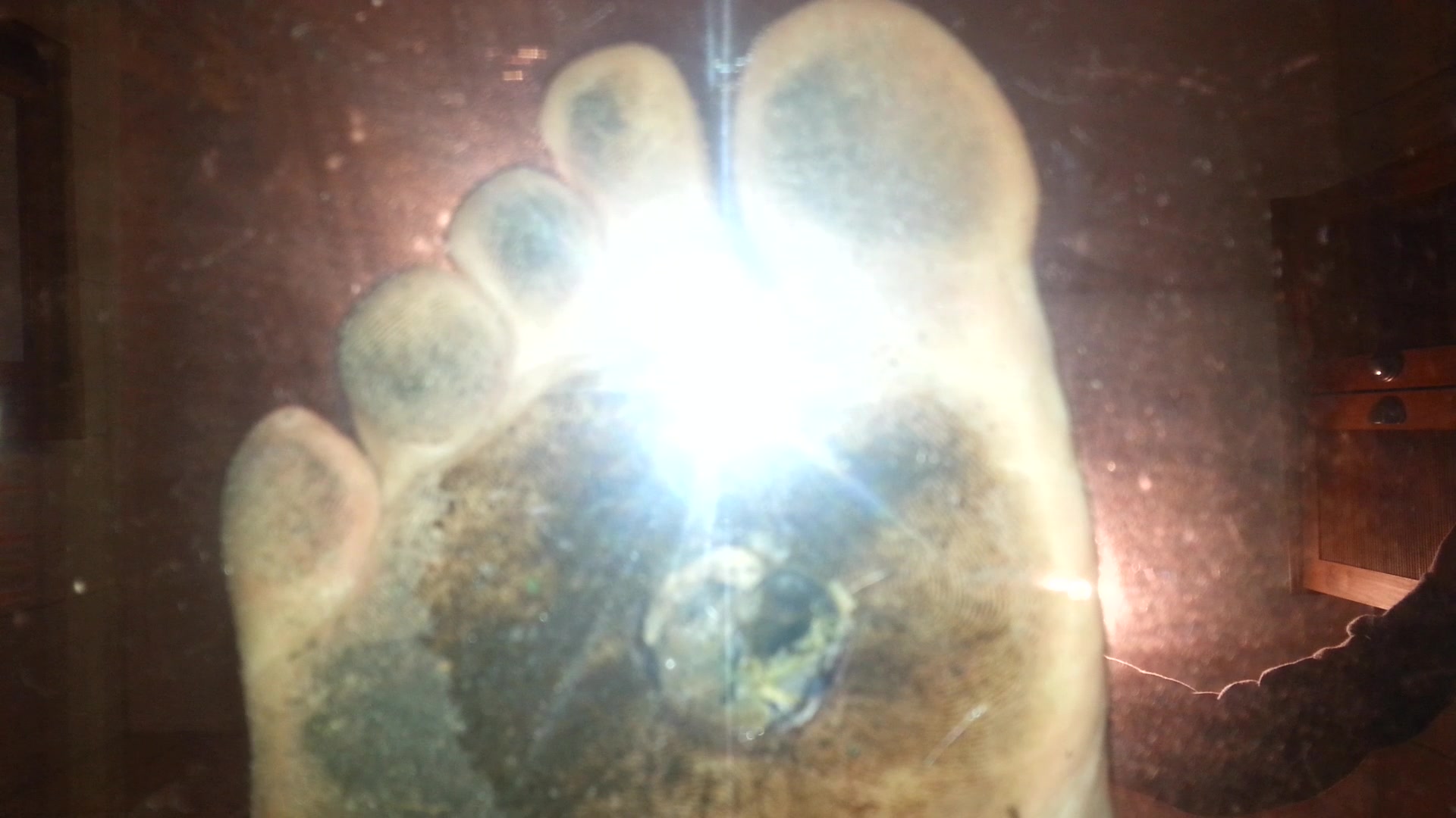 Underglass Dirty Feet Snail Crush