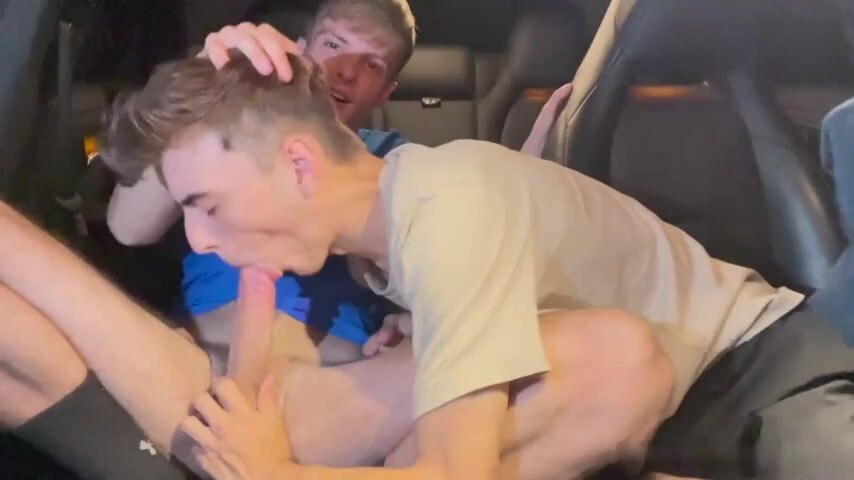 sex in the car.