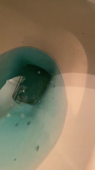 girl vomits in toilet - video 2