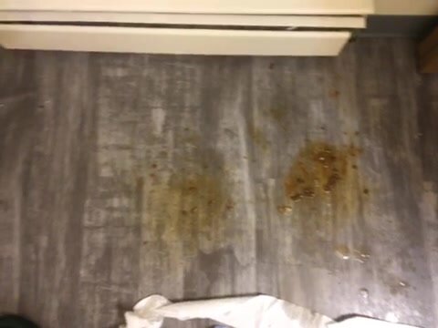 Poop on the floor part2