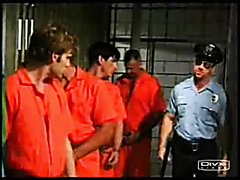 Straight Gangbang / ... : Prison Assault