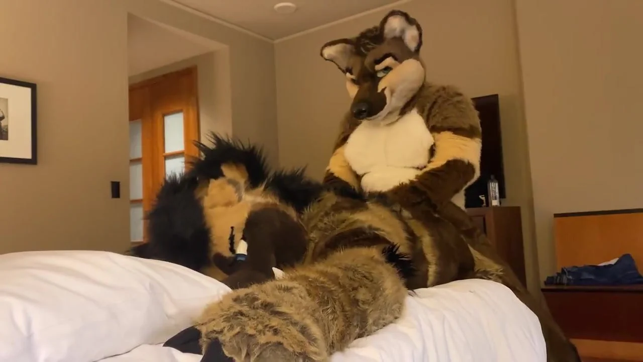 Fursuit sex - video 110 - ThisVid.com на русском