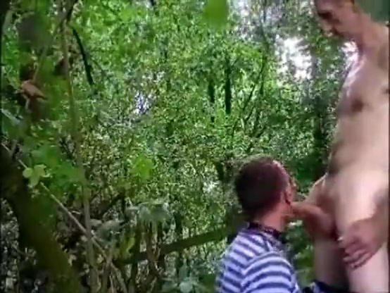 cruising in the woods 1