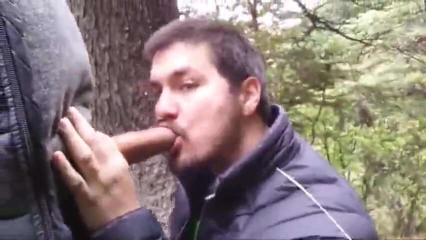 Sucker in the woods