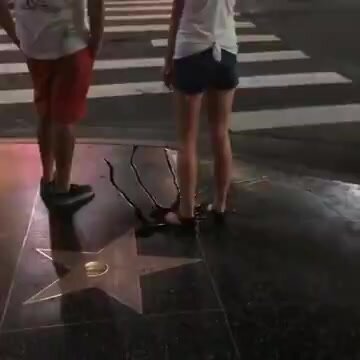 piss herself on hollywood blvd