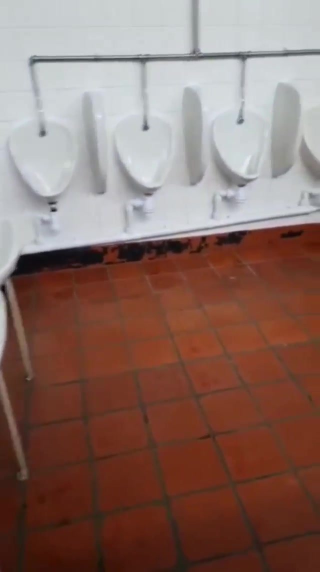 Public Toilet BBC - video 2