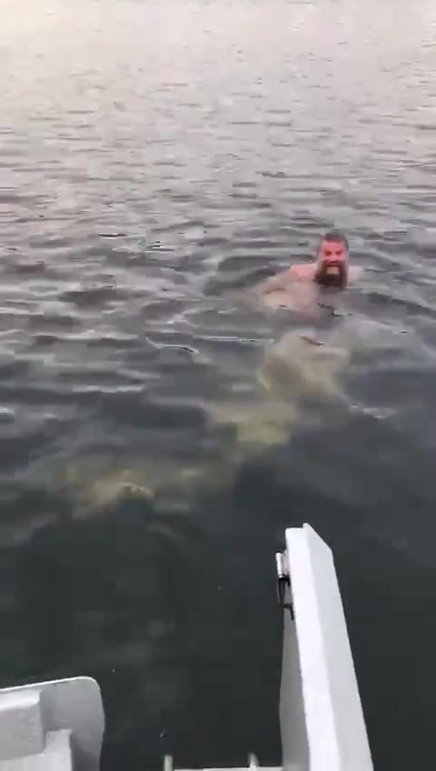 Bear shitting while swimming