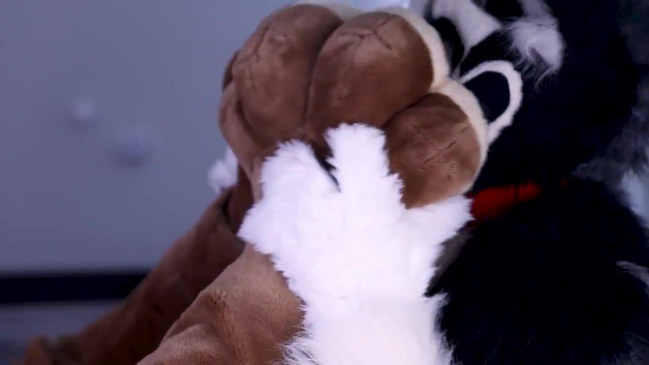 Fursuiter licking and worshipping paws