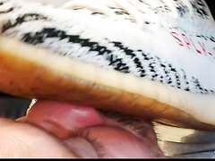 Licking adidas sneakers