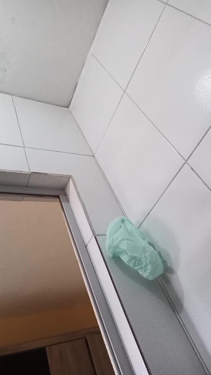 Roludão no banheiro