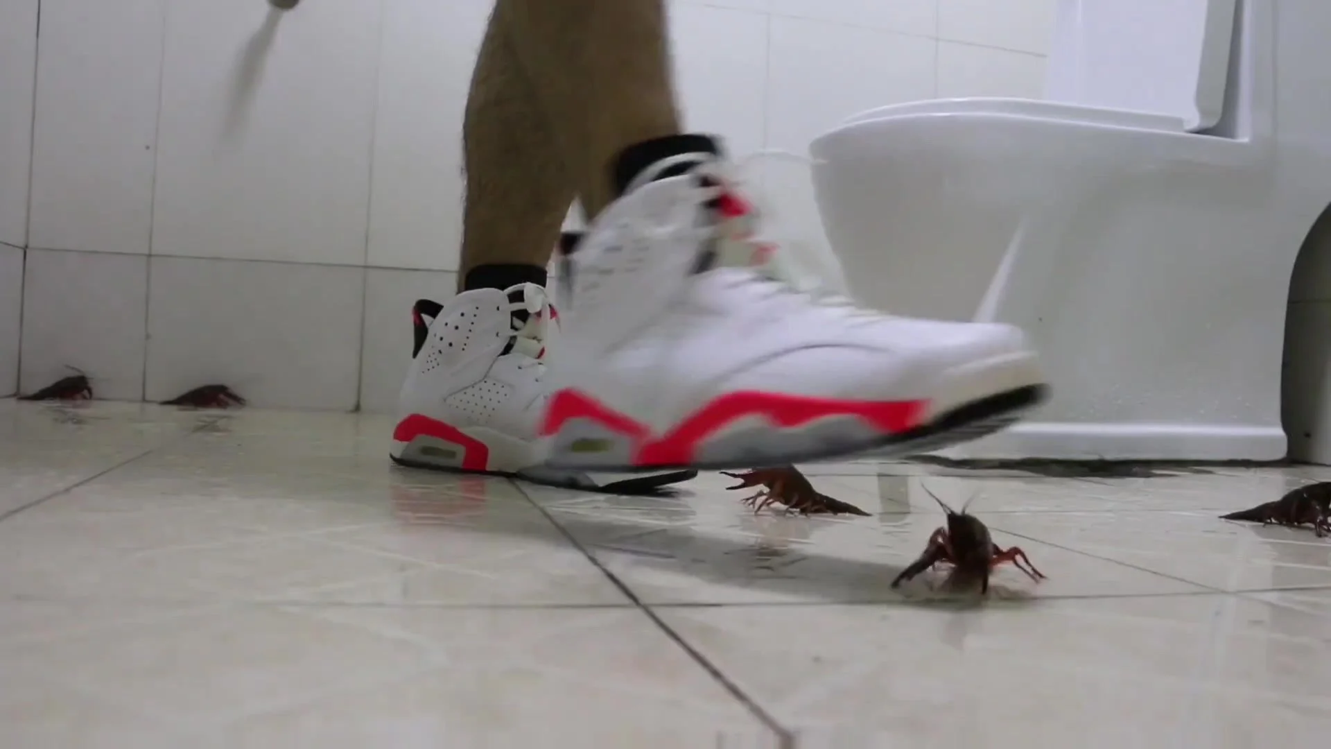 nipple crayfish bdsm Nike jordan crush crawfish - ThisVid.com