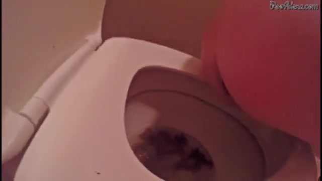 Alexa takes a shit on the toilet