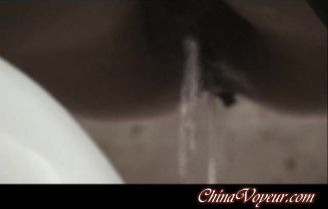 Chinese Lady Toilet Voyeur - video 21