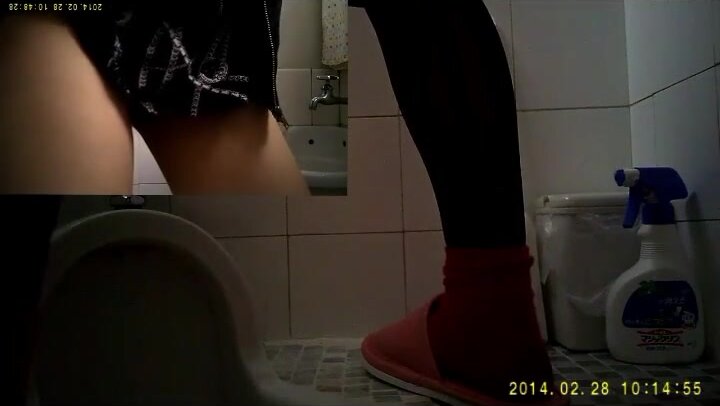 Japanese Ladies Toilet Voyeur - video 27