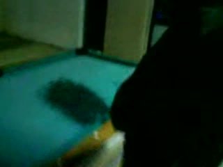 Pissing on the pool table