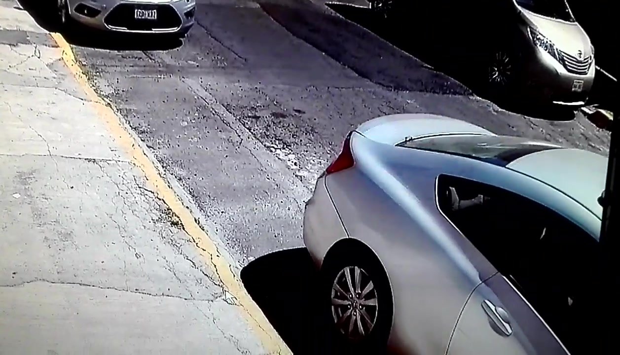 Woman litters trash bags in curb