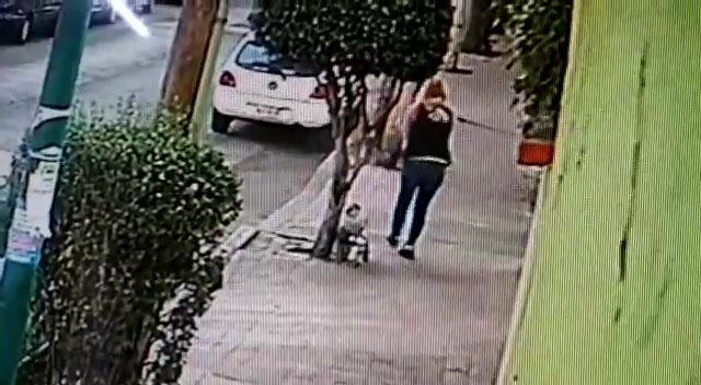 Woman drops garbage bag on the street