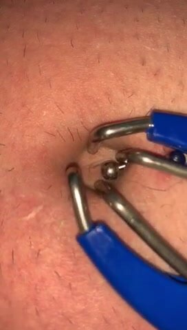 Another Bellybutton Meets The Elasticator