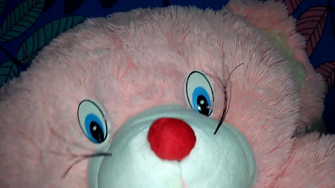 Cum on face my soft mouse plushie